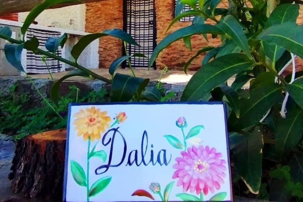 Paraje La Suerte Apartamento Dalia Adra Esterno foto